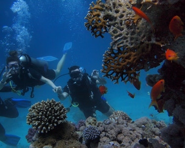 Sharm El Sheikh - Ramsees II Tour