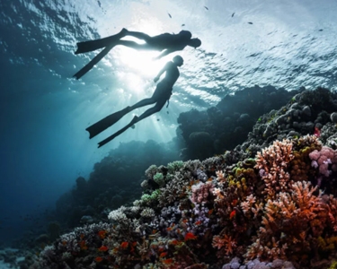 Hurgada -Visit egypt with our Golden ahmose henutemipet Trip (Dahabiya)